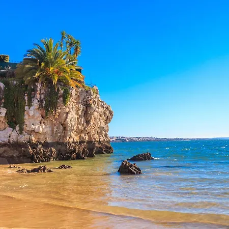 Eden Duke Ocean Views With Ac * Costa Adeje (Tenerife)