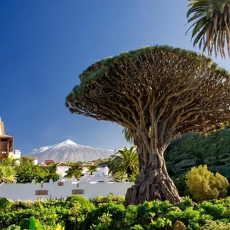 Eden Duke Ocean Views With Ac * Адехе